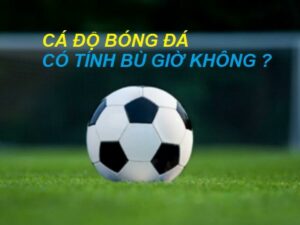 ca-do-bong-da-tinh-bu-gio-khong