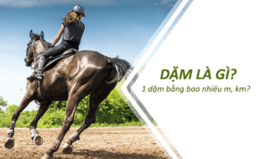 1-dam-bang-bao-nhieu-km-2