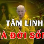 tam-linh-la-gi-1